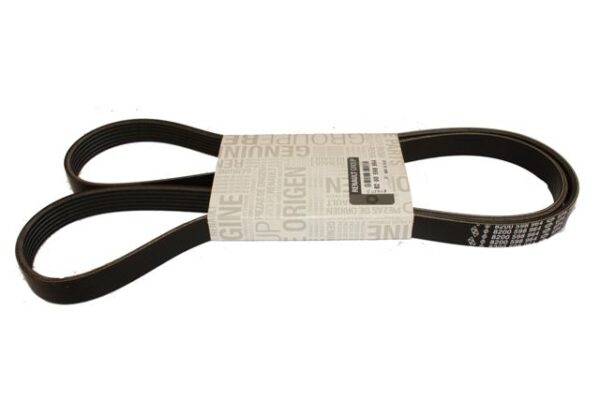 CORREA ACCSO NS LO2 - CALIDAD ORIGINAL